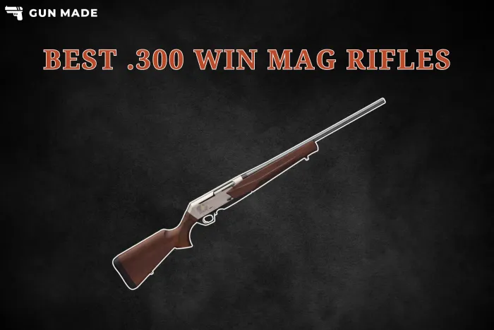 5 Best .300 Win Mag Rifles In 2024 preview image