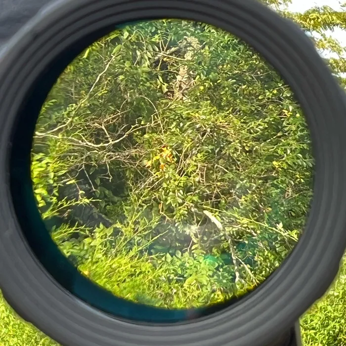 Holosun HM3XT Magnifier test view