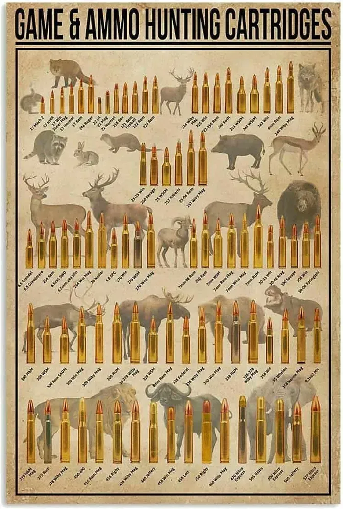 Rifle Caliber Chart Guide: Choosing the Right Caliber