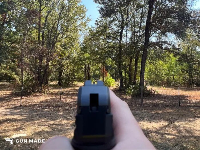 ruger lcp ii sights review