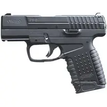 WALTHER PPS