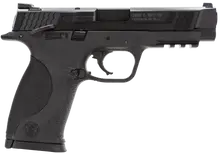 Smith & Wesson M&P 45ACP 4.5" Black Pistol with Ambi Safety, 10RD FS