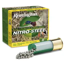 Remington Nitro-Steel 12 Gauge 3" 1 3/8 oz 2 Shot Ammunition