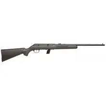 Savage Arms 64F Semi-Automatic .22 LR Rifle, 20.25" Synthetic Black, 10RD
