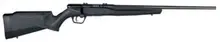 Savage Arms B22 FV Bolt Action Rifle - .22 LR, 21" Heavy Barrel, 10 Rounds, Matte Black Synthetic Stock