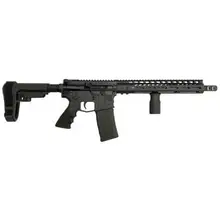 Dark Storm Industries DS-15 Non-NFA Typhoon RIA 5.56 NATO 12in Barrel with MLock and 10rd PMAG
