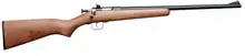 Crickett Keystone Sporting Arms Youth Rifle .22WMR Walnut/Stainless Steel 16 1/8-in KSA2438