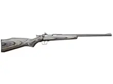 Keystone Sporting Arms Chipmunk .22LR Single Shot Bolt Action Rifle, Stainless Steel with Black Laminate Stock - 10003