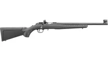 Ruger American Rimfire Compact .22LR Rifle, 18" Barrel, 10-Round, Black with Williams Peep Firesights