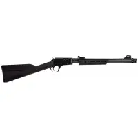 Rossi Gallery .22 WMR, 20" Barrel, 12-Round, Black Synthetic Stock, Adjustable Sights