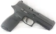 SIG Sauer P320 Full Size Nitron 9mm Luger 4.7" 17+1 Black Polymer Grip Stainless Steel