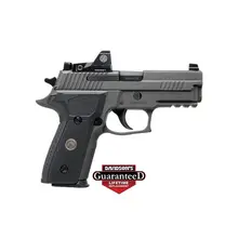 Sig Sauer P229 Legion RX 9mm Luger 3.9" Pistol with Romeo 1 Reflex Sight - 15+1 Rounds, Legion Gray Compact