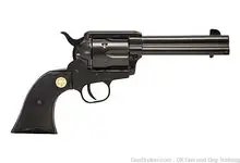 Chiappa Firearms 1873-22 Single-Action Revolver, .22LR, 4.75" Barrel, Black Plastic Grips