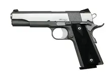 Dan Wesson 01981 Heritage RZ-45 45 ACP 5" Stainless Steel with Black Rubber Grip and Night Sights