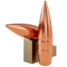 Lehigh Defense .308 Dia 150 Gr Match Solid Bullet - 50Rds, Suitable for 30-06 Springfield/308 Win/300 Win Mag - 04308150SP