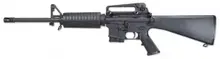 Windham Weaponry .223 REM R16A4S10 Rifle with 16" Barrel and A2 Standard Stock, Black