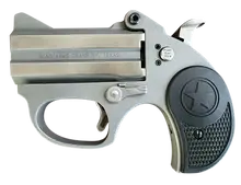 Bond Arms Stinger RS .38 Special 3" Stainless Steel 2-Round Pistol with Black Rubber Grips