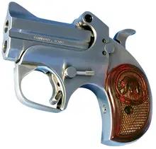 Bond Arms California Defender Derringer 9mm 2.5" Stainless 2-Round Handgun